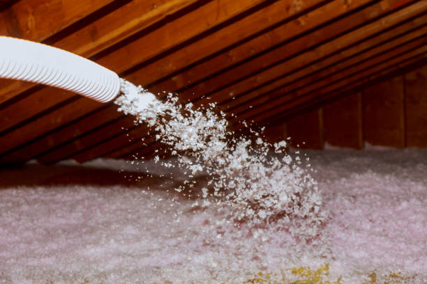 Reliable Gantt, SC Insulation Contractor Solutions