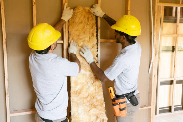 Best Local Insulation Services  in Gantt, SC